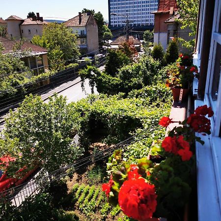 Апартаменты Apartament Hunter Клуж-Напока Экстерьер фото