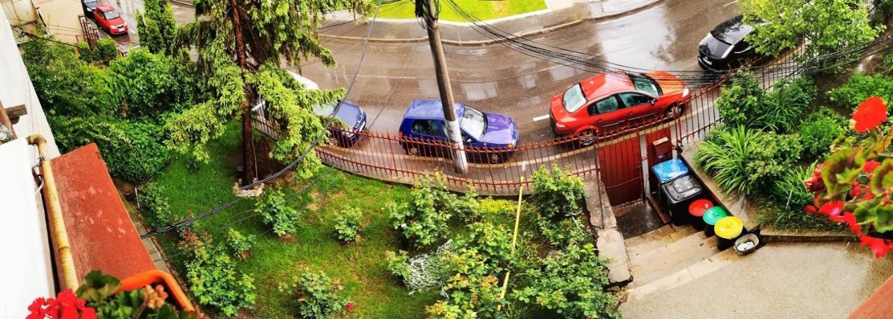 Апартаменты Apartament Hunter Клуж-Напока Экстерьер фото
