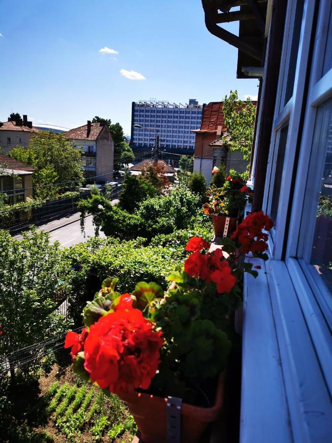 Апартаменты Apartament Hunter Клуж-Напока Экстерьер фото