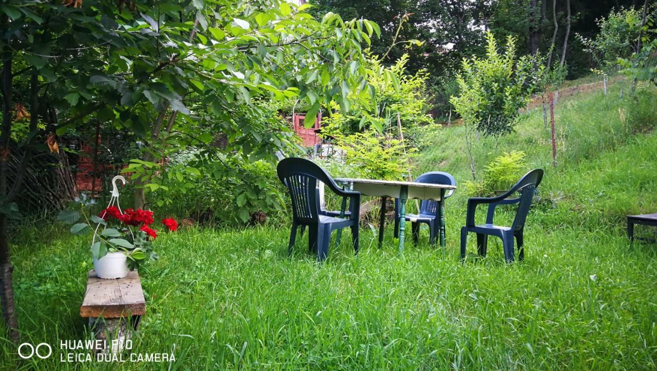 Апартаменты Apartament Hunter Клуж-Напока Экстерьер фото