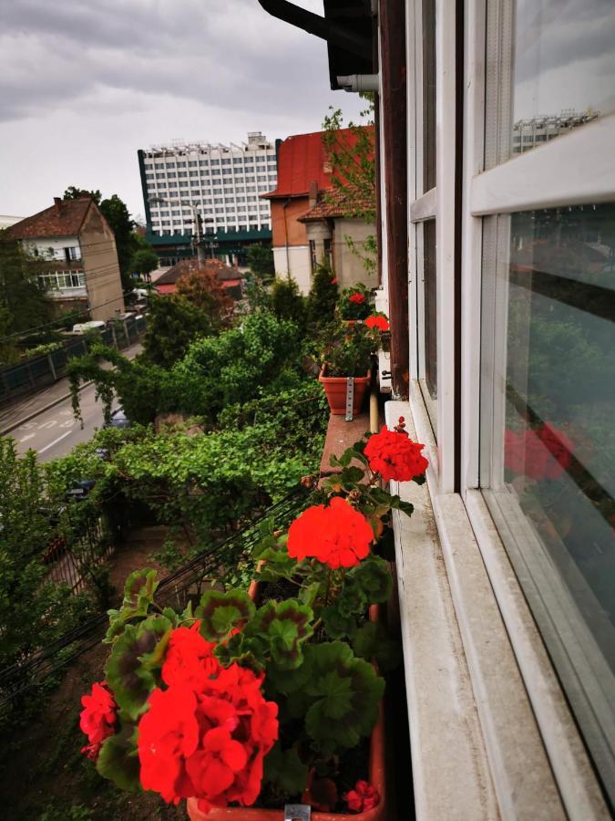 Апартаменты Apartament Hunter Клуж-Напока Экстерьер фото